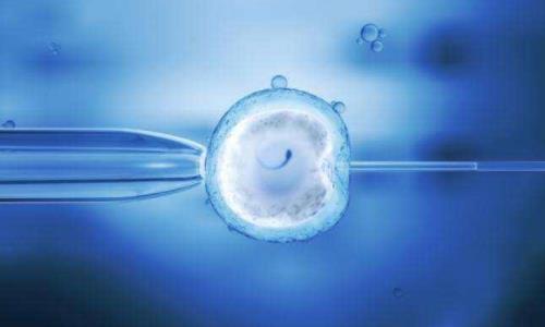 冻囊胚会分裂吗?试管移囊胚分裂会有什么表现吗?