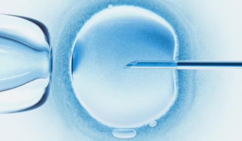 囊胚移植会出现宫外孕吗？试管婴儿移植后发生宫外孕的几率是多少？
