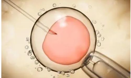 试管胚胎着床了但没长什么原因?试管胚胎会着床失败吗?